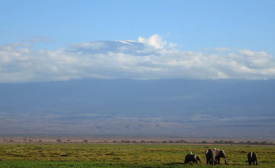 Kilimanjaro Amboseli Kenia