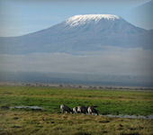 Amboseli Nationaal Park, Kenia
