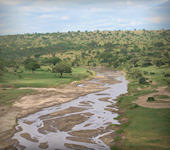 Tarangire nationaal park Tanzania