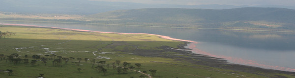 rondreis aanbiedingen Kenia - Flamingo Safari 7 daagse rondreis
