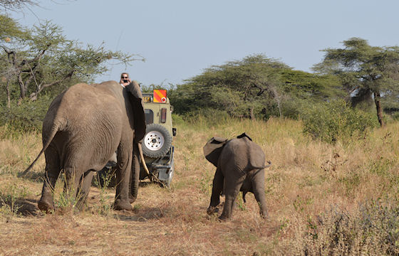 Priv Familie safari Kenia  Juli 2018