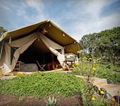 OnsKenia, Rhino Watch Lodge Safari Tent,  Aberdares NP Kenia