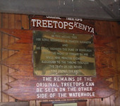 OnsKenia, Treetops gedenkplaats Queen Elizabeth, Aberdares nationaal park Kenia