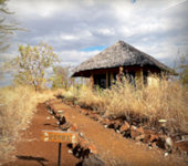 Ikweta Safari Camp Meru Nationaal park in Kenia