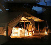 Offbeat Meru Camp is een luxe semi-permanente kamp boven de rivier de Bisanadi net buiten het Meru Nationaal Park