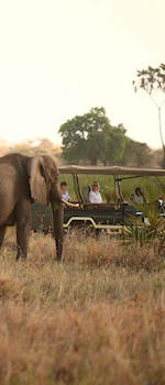 safari parken Kenia