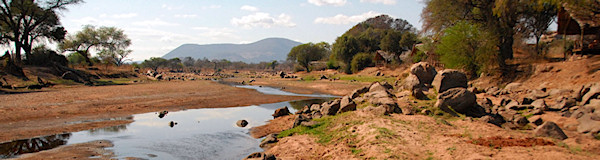 Ruaha Nationaal Park Tanzania