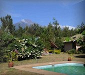 Meru View Lodge, Arusha Nationaal Park Tanzania