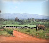 Rhino Lodge, Ngorongoro nationaal park Tanzania