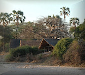 Mwagusi Safari Camp, Ruaha nationaal park Tanzania