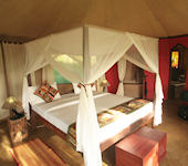 Serengeti Simba Lodge, Serengeti nationaal park Tanzania