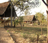 Kikoti Safari Camp Tarangire nationaal park Tanzania